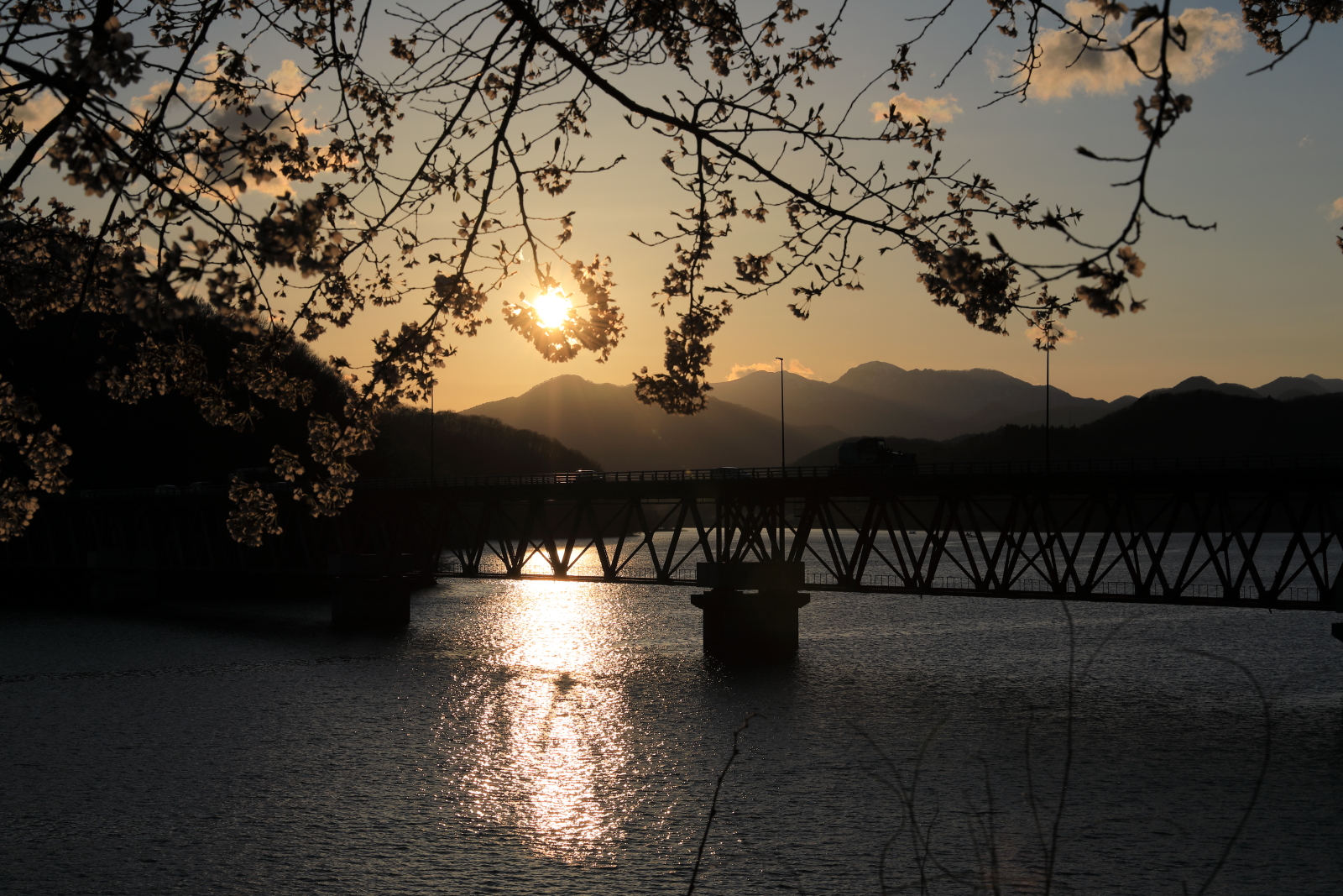 釜房ダムの桜夕景