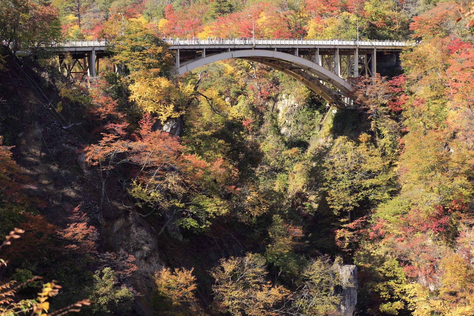 鳴子峡の紅葉