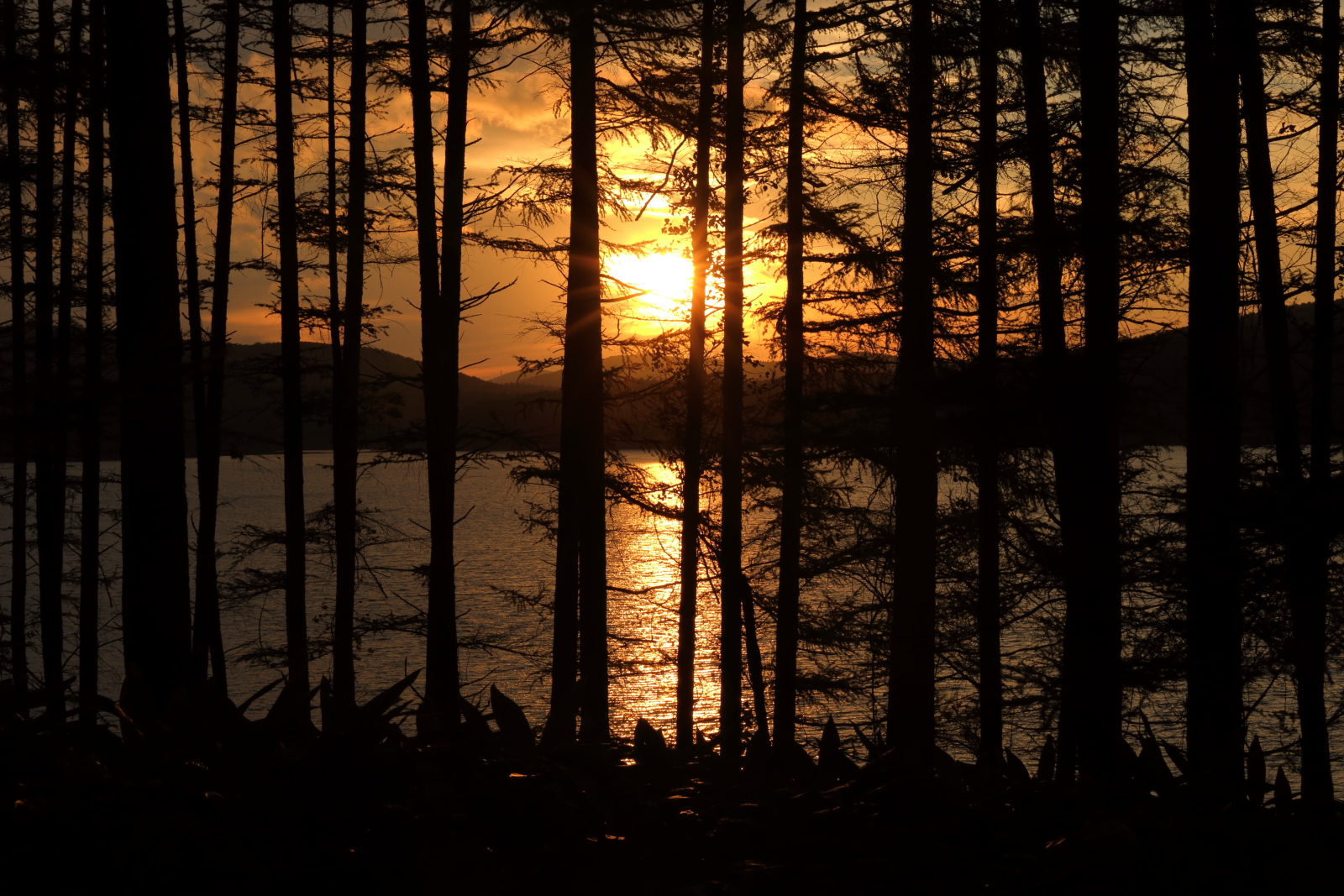 岩洞湖の夕景