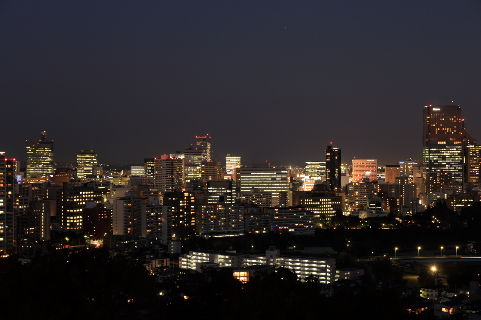 仙台城からの夜景