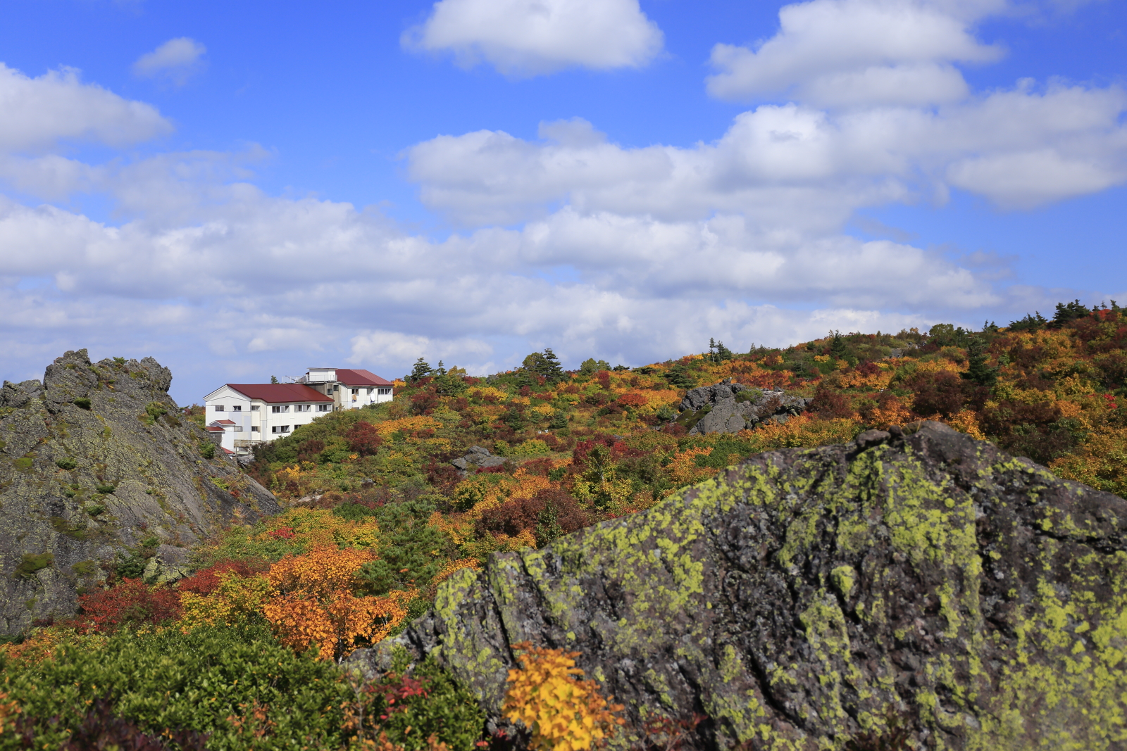 栗駒山荘近辺の紅葉